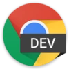 Chrome Dev 153.0.8003.0 Free Download For Window icon